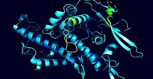 Struktura białek (AUDIO)